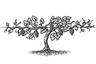 La Vita Consacrata – fr. Reginaldo Bernini, O.P.
