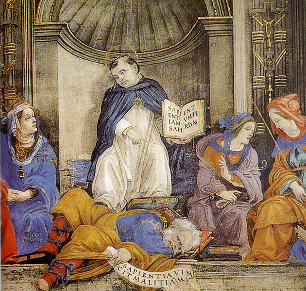 tommaso-lippi