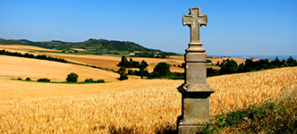 briciole croce