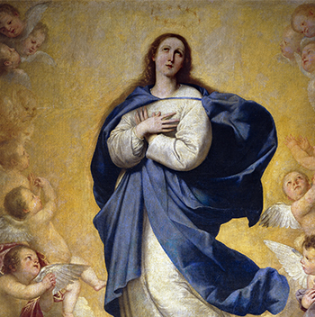 immacolata2 medium